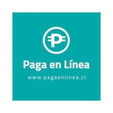 pagaenlineaa